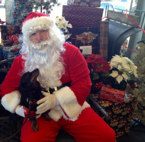 Do you bring miracles Dear Santa? Awe, who cares (I really do) but right now… I will be satisfied with a treat!